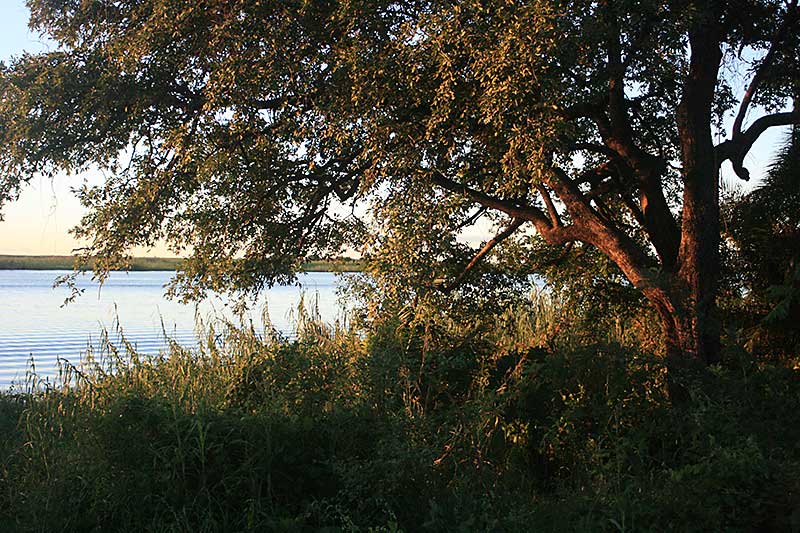 River Access