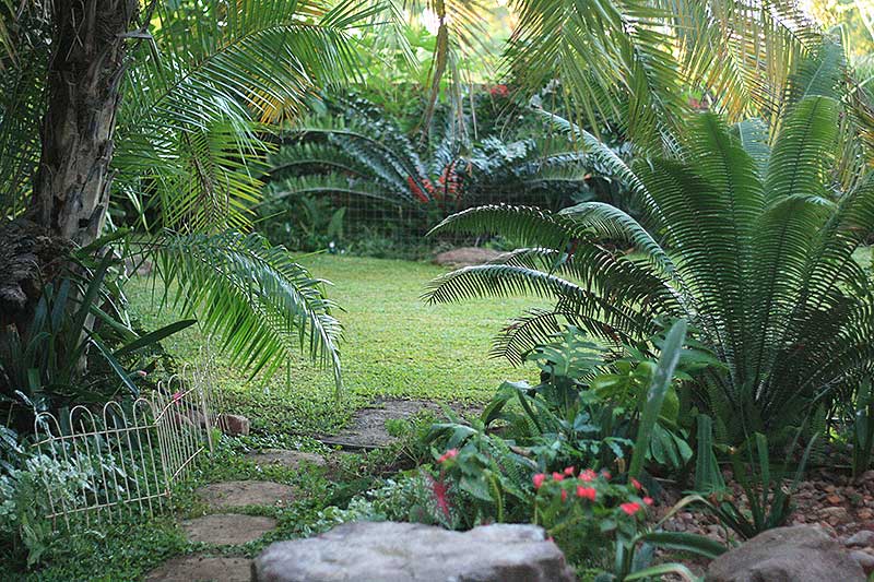 Delightful Gardens