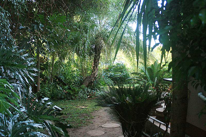 Feel Free to Wander